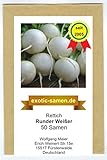 Rettich - Runder Weißer (50 Samen) foto / 1,80 €