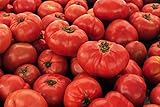 IB Prosperity Tomato VR Moscow (Determinate) 100mg Seeds for Planting, Solanum lycopersicum, Non-GMO, Non-Hybrid, Heirloom, Open Pollinated - High Germination Rate, Vegetable Gardening Seed photo / $6.99