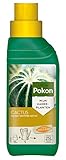 Pokon Kakteen-Flüssigdünger, für alle Kakteen und Sukkulenten, Spezialdünger mit Magnesium (MgO) und Eisen (Fe), 250ml foto / 6,27 € (25,08 € / l)