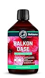 Biotaurus Balkonoase ● Natürliche Dünger-Alternative für Balkonpflanzen auf Basis lebender Mikroorganismen ● 500ml foto / 14,99 €