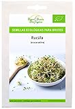 Semillas Bio para germinar brotes y micro green Bueno Bonito Biológico - RÚCULA - Semillas para brotes y germinados BIO foto / 9,90 €