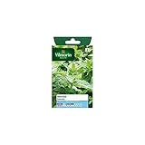 Vilmorin - Sachet graines Menthe poivrée photo / 5,85 €