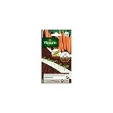 Vilmorin - Rubans de graines Carotte Maestro HF1 photo / 6,71 €