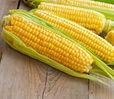 Sweet Corn Seeds for Planting - Kandy Korn Sweet Corn Seed- 300 Count photo / $14.98 ($0.05 / Count)