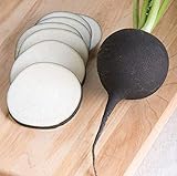 David's Garden Seeds Radish Nero Tondo 6264 (Black) 200 Non-GMO, Heirloom Seeds photo / $3.95