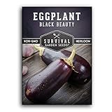 Survival Garden Seeds - Black Beauty Eggplant Seed for Planting - Packet with Instructions to Plant and Grow Bell-Shaped Dark Purple Eggplant in Your Home Vegetable Garden - Non-GMO Heirloom Variety photo / $4.99