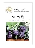 BIO-Kohlsamen Santee F1 Sprossenbrokkoli Portion foto / 3,45 €