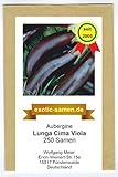 Aubergine - Lunga Cima Viola - alte italienische Regionalsorte - 250 Samen foto / 3,99 €