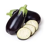 Eggplant Seeds for Planting Home Garden - Container Vegetable Garden - Black Beauty Eggplant photo / $5.98