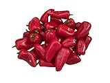 Snackpaprika Rot 10 Samen foto / 1,99 €