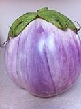 Rosa Bianca Eggplant Seeds- Heirloom- 100+ Seeds photo / $2.99