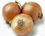 Onion, Yellow Spanish Onion Seeds, (25+ Seeds) Heirloom, Non- GMO, One of The Most Popular for Gardeners, This Jumbo-Sized Onion is mild with Golden Brown Skin. photo / $1.99