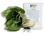 1000 Pak Choi Seeds for Planting - 3+ Grams - White Stem - Heirloom Non-GMO Vegetable Seeds for Planting - AKA Bok Choy, Pok Choi, Chinese Cabbage photo / $4.99 ($0.00 / Count)