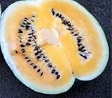 HeirloomSupplySuccess 25 Heirloom Desert King Watermelon Seeds photo / $5.99