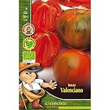 Semillas ecológicas de Tomate Valenciano foto / 4,42 €