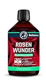 Biotaurus Rosenwunder ● Natürliche Dünger-Alternative für Rosen auf Basis lebender Mikroorganismen ● 250ml foto / 12,95 €