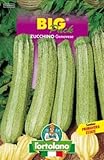 Qualitätssaatgut Ortholano in thermoverschweißtem Beutel (160 Sorten) (Zucchino Genovese) foto / 3,99 €