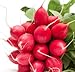 photo Cherry Belle Radish Seeds, 100 Heirloom Seeds Per Packet, Non GMO Seeds, Botanical Name: Raphanus sativus, Isla's Garden Seeds