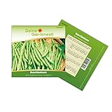 Buschbohnen Saxa Samen - Phaseolus vulgaris - Bohnensamen - Gemüsesamen - Saatgut für 50 Pflanzen foto / 3,49 € (0,07 € / stück)