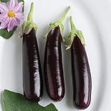 David's Garden Seeds Eggplant Hansel (Purple) 25 Non-GMO, Hybrid Seeds photo / $3.45