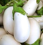 David's Garden Seeds Eggplant White Star (White) 25 Non-GMO, Hybrid Seeds photo / $3.45