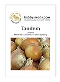 Zwiebelsamen Tandem Portion foto / 1,95 €