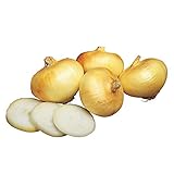 Burpee Granex Yellow Onion Seeds 450 seeds photo / $6.57