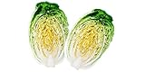 David's Garden Seeds Cabbage Chinese Minuet 8642 (Green) 50 Non-GMO, Hybrid Seeds photo / $4.45