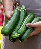 Burpee Fordhook Zucchini Summer Squash Seeds 50 seeds photo / $7.16