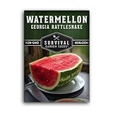 Survival Garden Seeds - Georgia Rattlesnake Watermelon Seed for Planting - Packet with Instructions to Plant and Grow Melons in Your Home Vegetable Garden - Giant Super Sweet Non-GMO Heirloom Variety photo / $4.99