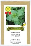 Pfefferminze - Mentha piperiata - 1500 Samen foto / 1,95 €