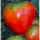 German Red Strawberry Tomato Seeds (20+ Seeds) | Non GMO | Vegetable Fruit Herb Flower Seeds for Planting | Home Garden Greenhouse Pack photo / $3.69 ($0.18 / Count)