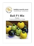 Kürbissamen Ball Mix F1 Zucchini Rondinimischung Portion foto / 2,95 €