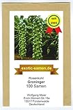 Rosenkohl - Groninger - 100 Samen foto / 1,90 €