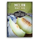 Survival Garden Seeds - Honeydew Melon Seed for Planting - Packet with Instructions to Plant and Grow Delicious Honey Dew Melons for Eating in Your Home Vegetable Garden - Non-GMO Heirloom Variety photo / $4.99