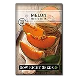 Sow Right Seeds - Honey Rock Melon Seed for Planting  - Non-GMO Heirloom Packet with Instructions to Plant a Home Vegetable Garden photo / $4.99