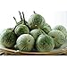 photo Thai Round Green Eggplant Seeds (40 Seed Pack)