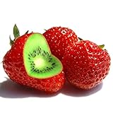 TOYHEART Semillas De Frutas De Primera Calidad, 1 Bolsa Semillas De Fresa De Kiwi Rústicas De Alta Tasa De Germinación Semillas De Jardín Ligeras No Transgénicas Para Manor rojo foto / 5,12 €