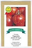 Tigerella - rot-gelb gestreifte Stab-Tomate - alte Sorte - 20 Samen foto / 1,95 €