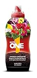 NUTRIONE ONELI500 Engrais Premium Liquide Universel 500 ML Luxuriantes | pour Toutes Plantes et Fleurs, Croissance Equilibrée, 500ml photo / 14,81 € (29,62 € / l)