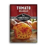 Survival Garden Seeds - Hillbilly Tomato Seed for Planting - Packet with Instructions to Plant and Grow Uniquely Colored Potato Leaf Tomatoes in Your Home Vegetable Garden - Non-GMO Heirloom Variety photo / $4.99