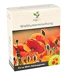 mgc24® Wildblumenmischung - Blumenmischung für nützliche Insekten ein- & mehrjährig 100g für 100m² foto / 5,99 € (59,90 € / KG)