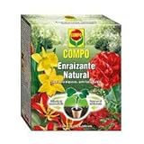 COMPO Enraizante natural, Para esquejes, semillas y bulbos, Apto para agricultura ecológica, 5 sobres de 10 g foto / 7,00 €