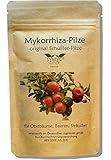 Mykorrhiza-Pilz Konzentrat für Obstbäume und Sträucher - original Schüßler-Pilze, bekannt aus Funk und Fernsehen, zur Verbesserung von Pflanzenwachstum und -Gesundheit foto / 9,95 €