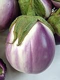 Rosa Bianca Eggplant Seeds, 100+ Heirloom Seeds Per Packet, (Isla's Garden Seeds), Non GMO Seeds, Botanical Name: Solanum melongena photo / $5.99 ($0.06 / Count)