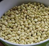 David's Garden Seeds Southern Pea (Cowpea) Texas Cream 8 4435 (Tan) 100 Non-GMO, Open Pollinated Seeds photo / $3.45