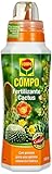 COMPO Fertilizantes para cactus, plantas crasas y suculentas, Fertilizante líquido con potasio, 500 ml foto / 4,79 €