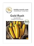 Bobby-Seeds Bio-Zucchinisamen Gold Rush Portion foto / 2,75 €