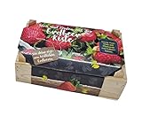 Anzuchtset Holz Kiste - Erdbeeren - Garten Starter Kit mit Pflanzenerde und Samen - Anzucht Schale Mini Pflanzen Gewächshaus inklusive Saatgut und Erde foto / 9,95 €