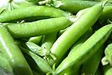 Sugar Ann Snap Pea Garden Seeds, 50 Heirloom Seeds Per Packet, Non GMO Seeds photo / $6.25 ($0.12 / Count)